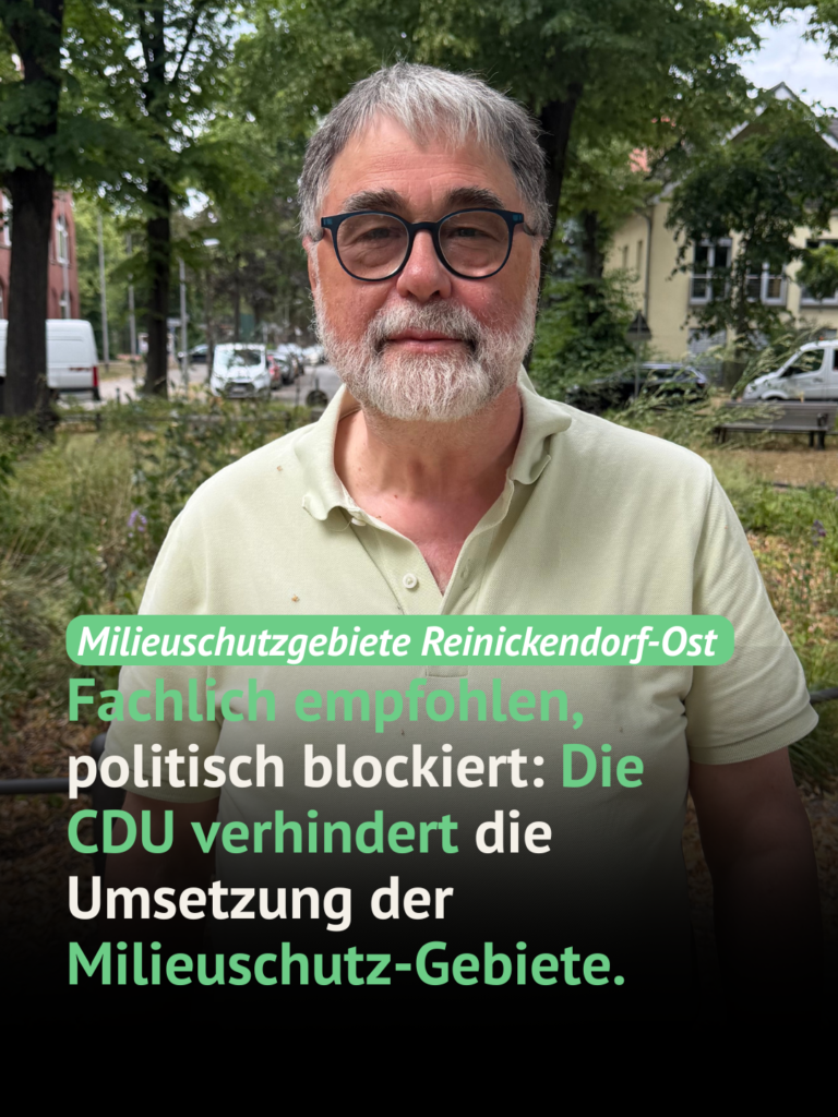 Grüne werfen CDU Blockade beim Milieuschutz in Reinickendorf Ost vor 