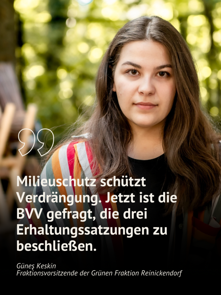 Grüne bringen Milieuschutzdebatte zurück auf die Tagesordnung